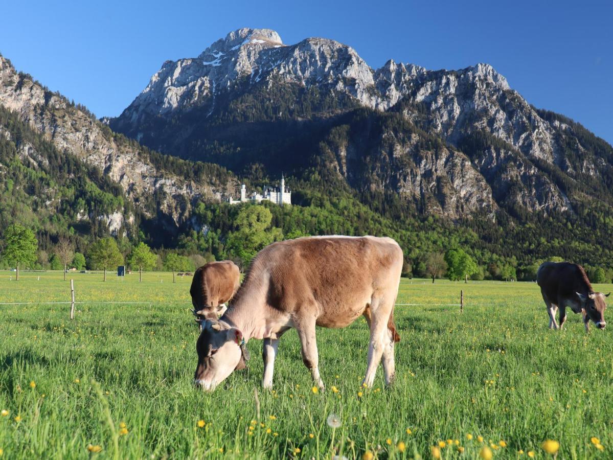 فندق غاستهاوس كِبف Füssen المظهر الخارجي الصورة