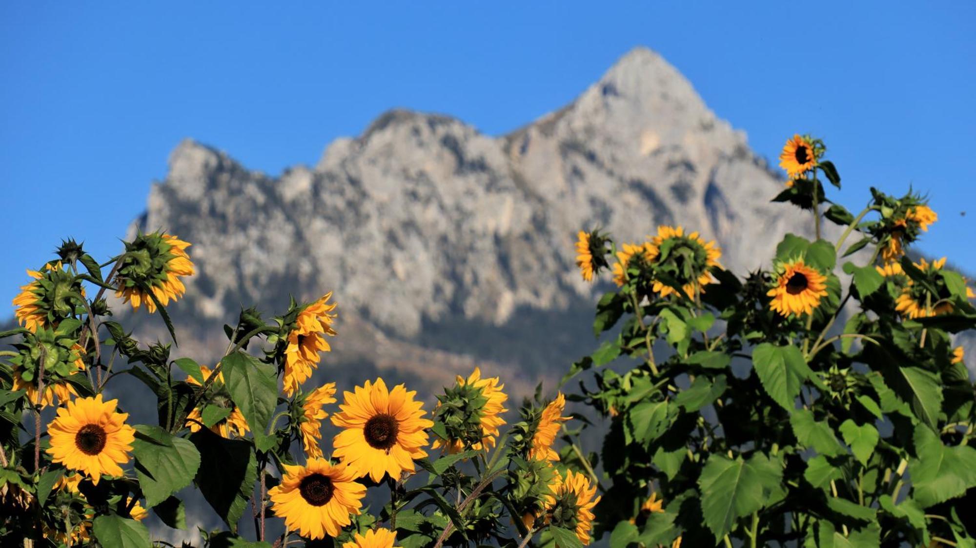 فندق غاستهاوس كِبف Füssen المظهر الخارجي الصورة